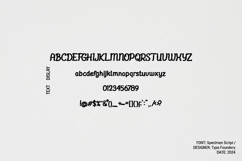 Fejo | Elegant Modern Serif Typeface Product Image 14