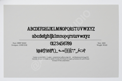 Cogoxo | Sophisticated Modern Sans Serif Product Image 5