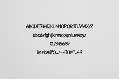 Febe - Elegant Modern Serif Typeface Product Image 10