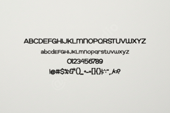 Gewuze - Sophisticated Modern Sans Serif Product Image 6
