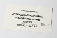 Geneqe - Modern Sophisticated Serif Typeface Product Image 6