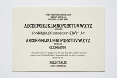 Fezogi - Sophisticated Modern Serif Typeface Product Image 2