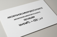 Ducoza - Elegant Modern Serif Typeface Product Image 14