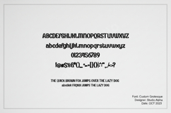 Fexi - Modern Geometric Sans Serif Product Image 3