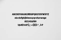 Fezola - Elegant &amp; Modern Display Serif Font Product Image 9