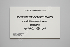 Cokewo - Modern Elegant Serif Display Font Product Image 4