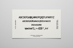 Giqese - Sophisticated Modern Serif Font Product Image 2