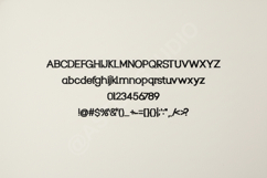 Hesa - Modern Sophisticated Serif Font Product Image 7