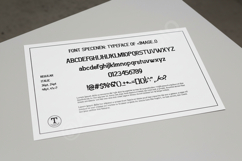 Herici - Elegant Modern Serif Display Font Product Image 12