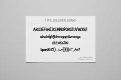 Dawucu - Modern Elegant Serif Typeface Product Image 4