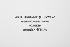 Jovaja - Modern Elegant Serif Typeface Product Image 12