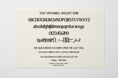 Josuna - Sophisticated Modern Serif Typeface Product Image 12