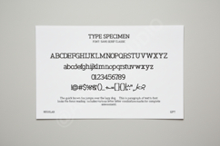 Goye - Elegant Modern Serif Display Font Product Image 15