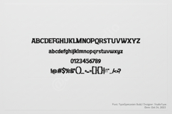 Doyefo - Modern Luxury Serif Font Product Image 2