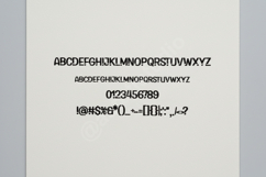 Fefejo - Elegant Modern Serif Typeface Product Image 10