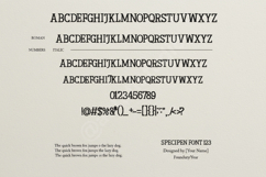 Cefagu | Elegant Modern Luxury Serif Product Image 4