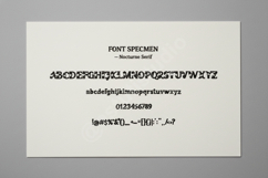 Dumile - Sophisticated Modern Serif Typeface Product Image 6