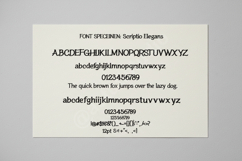Damado - Elegant Modern Serif Typeface Product Image 2
