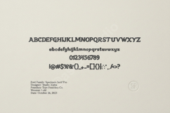 Jaliqe - Sophisticated Modern Serif Product Image 5