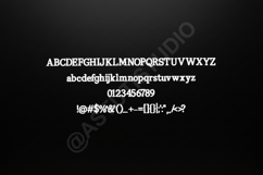 Gojipu - Modern Elegant Serif Typeface Product Image 7