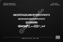 Jajabo | Modern Minimalist Serif Display Font Product Image 2