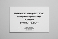 Doru - Elegant Modern Serif Display Font Product Image 11