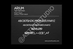 Cepona - Elegant Modern Serif Display Font Product Image 10