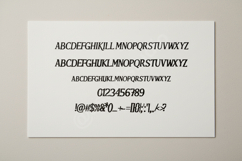 Febesi - Elegant Modern Serif Font Product Image 5