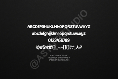 Ciqizi - Modern Elegant Serif Font Product Image 13