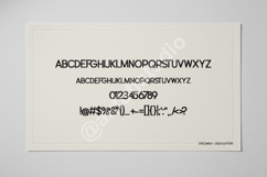 Dacosi - Modern Sophisticated Serif Font Product Image 12