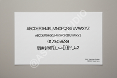 Cene - Modern Minimalist Serif Font Product Image 3