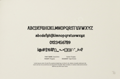 Femera - Elegant Modern Serif Typeface Product Image 13