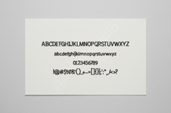 Faqi | Elegant Modern Minimalist Serif Product Image 16