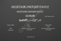 Dumado - Sophisticated Modern Serif Typeface Product Image 12