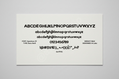 Daja - Elegant Modern Serif Display Font Product Image 2
