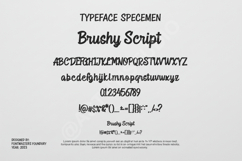 Coca - Modern Minimalist Sans Serif Font Product Image 2