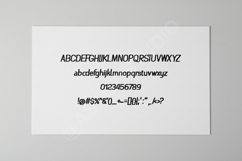Gosiko - Modern Sophisticated Serif Typeface Product Image 1