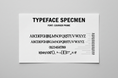 Daye - Elegant Modern Serif Font Product Image 15
