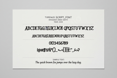 Fiqizo - Modern Sophisticated Serif Font Product Image 2