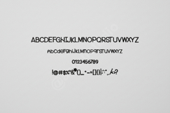 Ceveqa | Elegant Luxury Serif Typeface Product Image 2