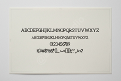 Jopara - Sophisticated Modern Serif Typeface Product Image 10