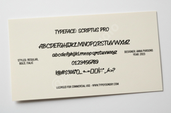 Docofa | Elegant Modern Serif Typeface Product Image 12