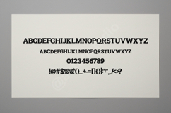 Hozo - Sleek Modern Sans Serif Typeface Product Image 3