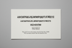 Getuwi - Minimalist Modern Sans Serif Product Image 12