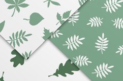 Set of Leaves Patterns Product Image 2