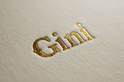 Gini - Elegant and Sophisticated Modern Serif Product Image 3