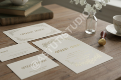 Geneqe - Modern Sophisticated Serif Typeface Product Image 7