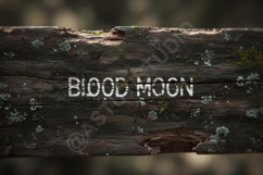 Gozu | Bold Modern Sans Serif Typeface Product Image 5