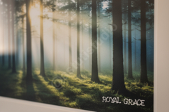 Hime - Elegant Minimalist Serif Font Product Image 8