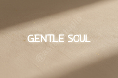 Dasura - Elegant Modern Serif Display Product Image 12